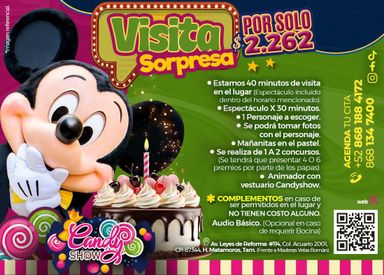 PAQUETE DE VISITA SORPRESA: