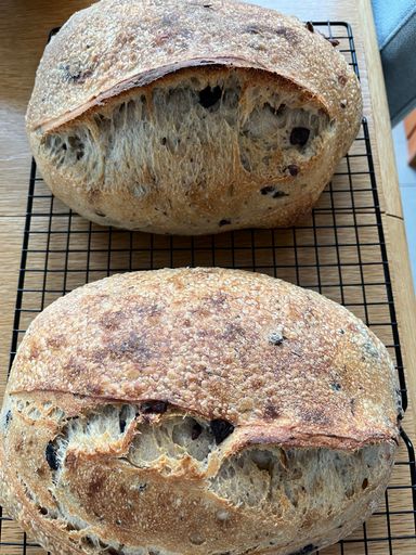 Kalamata Olive & Rosemary Sourdough