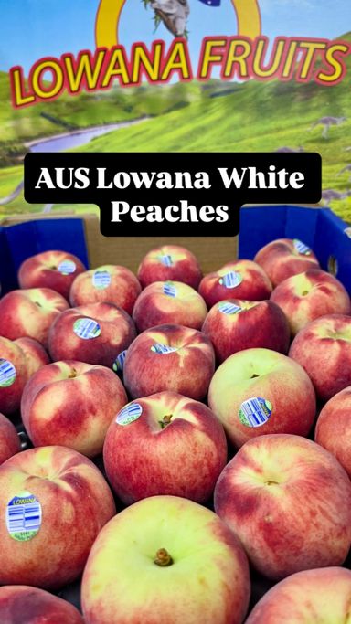 AUS LOWANA WHITE PEACHES