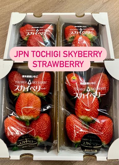 JPN TOCHIGI RED STRAWBERRIES