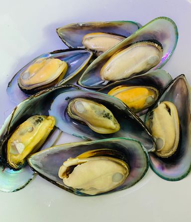Mussels