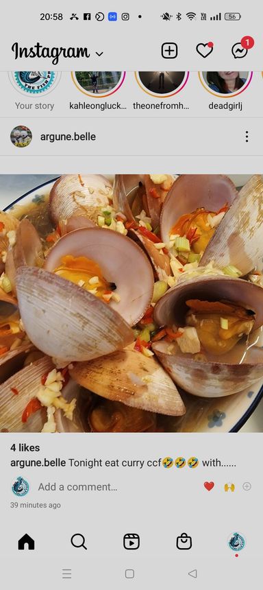 JUMBO PINK VENUS CLAM 