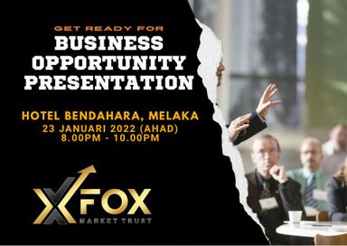 XFox Investment 