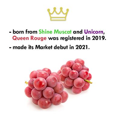 JPN NAGANO QUEEN ROUGE SL GRAPES