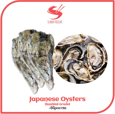 Japanese Oysters (Sashimi Grade) ~95pcs