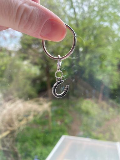 Horse Shoe charm