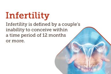 STC30 Fertility 