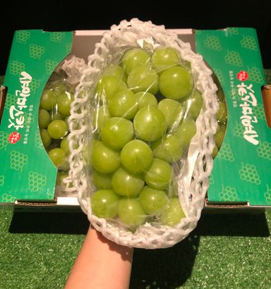 KOREA PREMIUM SHINE MUSCAT GRAPES