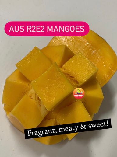 AUS R2E2 MANGOES XL