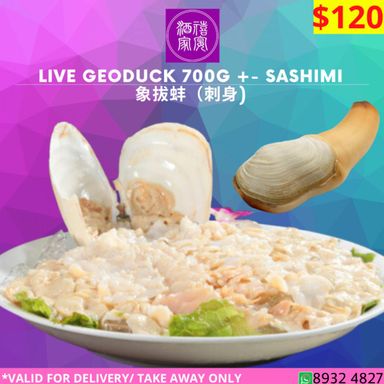 Live Geoduck 700G+- Sashimi 
