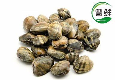 啦啦 Clams 
