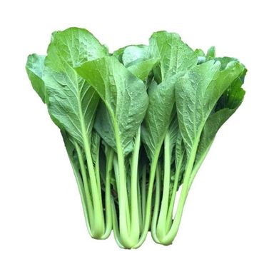 SAWI CAMERON 袖珍菜心