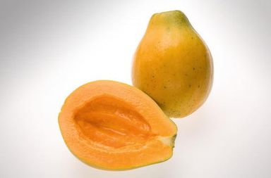Philippines Solo Papaya (1 each)