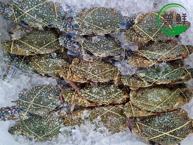 花蟹 Flower Crab