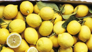 Lemon