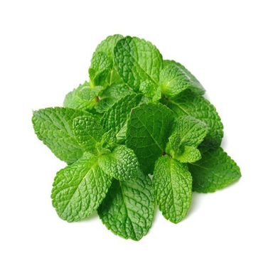 Mint Leaves -100 GM 