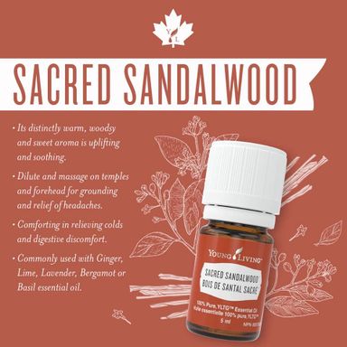 Sacred Sandalwood 5ml (Clearance)