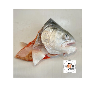 Norwegian Salmon Trout Fillet (三文鱼 头)
