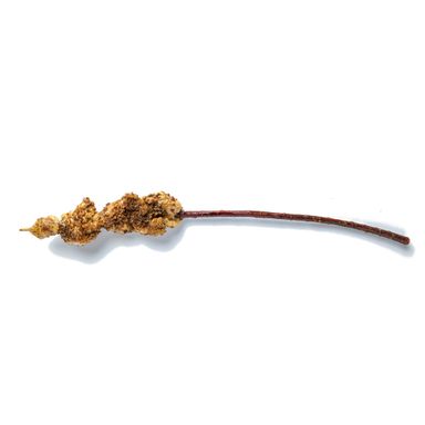 Pork Belly BBQ Stick 三层肉烤串