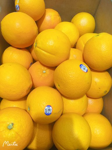 Aust Loc Sweet Navel Orange Jumbo