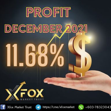 XFox Investment 