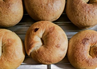 Cranberry Walnut Bagels