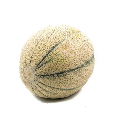 Rock Melon | Australia | 1 Pc
