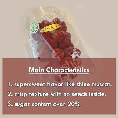 JPN NAGANO QUEEN ROUGE SL GRAPES