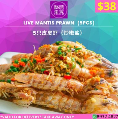 Live Mantis Prawn 5PCS 