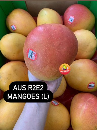 AUS R2E2 MANGOES XL