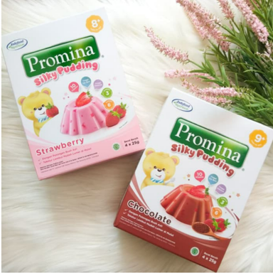 Promina SIlky Pudding Chocolate 100gr (9+)