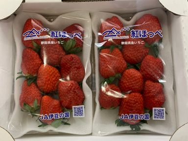 JPN IBARAKI BENI-HOPPE RED STRAWBERRIES