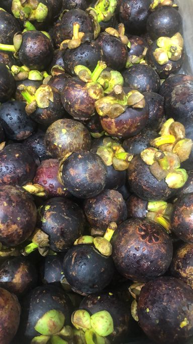 Thai Mangosteen