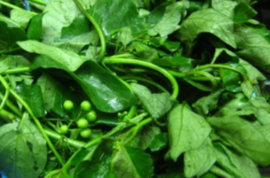 DAUN PUCUK MERANTI (MANA TAKALI KIRAI)