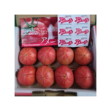Amera Fruit Tomato | Japan | 1 Box (15 Pcs)