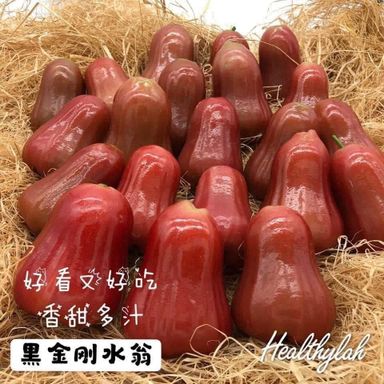 JAMBU AIR 黑金刚水翁 1kg