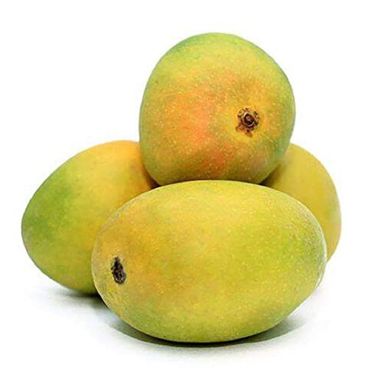 Alphonso Mango - 2 PCS