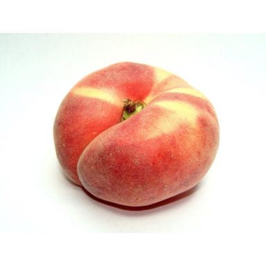 Donut Peach - 1box