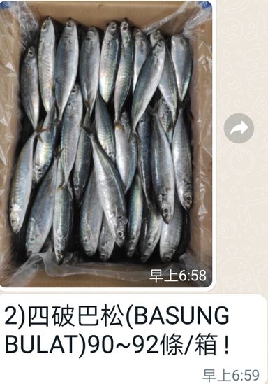 Ikan Basung Bulat ( RM 9 x 5 kgs   per/ctn) _Soft body.