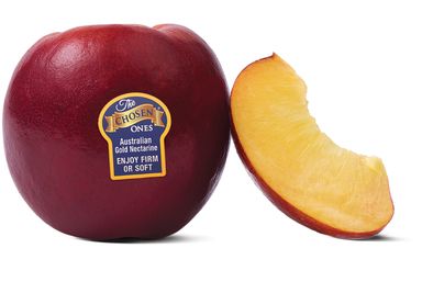 AUSTRALIA [THE CHOSEN ONE®] PREMIUM SWEET WHITE NECTARINES(4 PC)