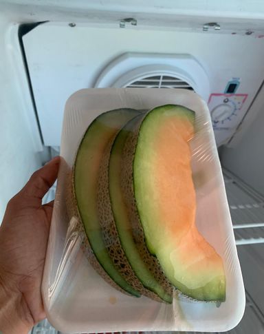 Melon slice