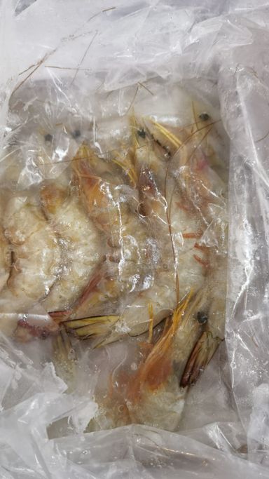 Red Leg Sea Prawn - 16-20