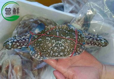 花蟹 Flower Crab
