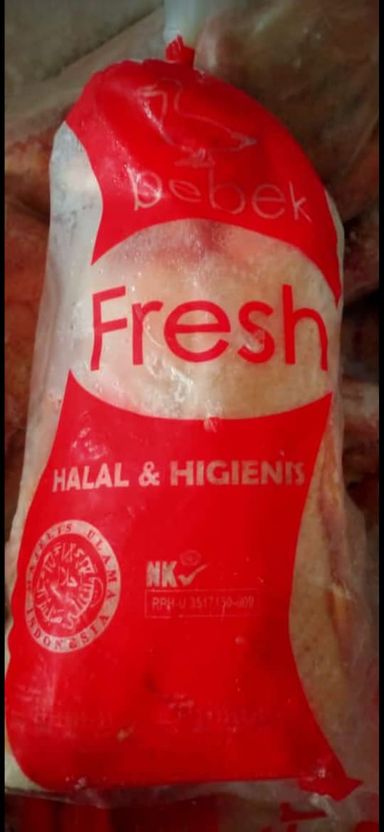 Bebek Frozen