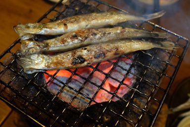 Shishamo 