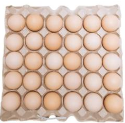 Fresh Eggs 30s