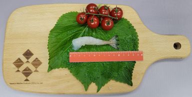 200g 越南 生鳳尾蝦  (約13-15隻/pack)