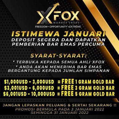 XFox Investment 