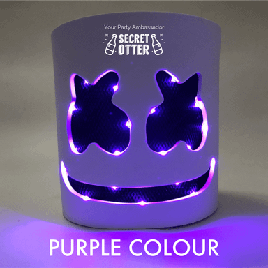 Made your own DJ Party Mask