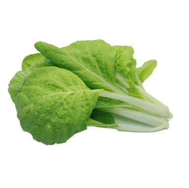Chinese Cabbage 大白菜 